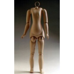 Seeley Composition Ladies Bodies