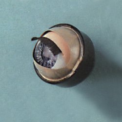 Individual Vinyl Movable Eye
