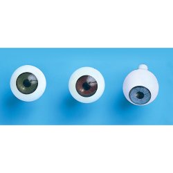 Plastic Eyes