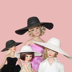 Fashionable Picture Hat